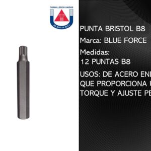 PUNTA BRISTOL B8